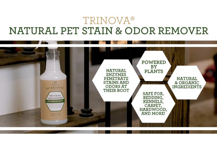 Limpiador Enzimatico Natural Removedor de manchas y Olores de Mascotas 946ml | TriNova