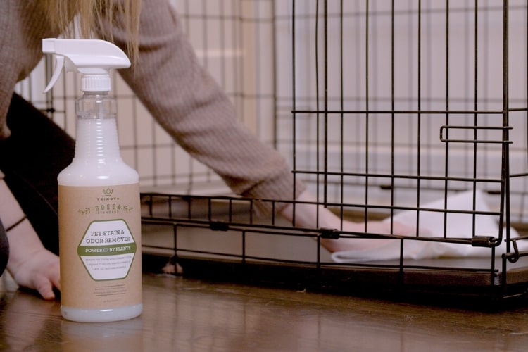 Limpiador Enzimatico Natural Removedor de manchas y Olores de Mascotas 946ml | TriNova